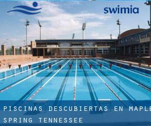 Piscinas descubiertas en Maple Spring (Tennessee)