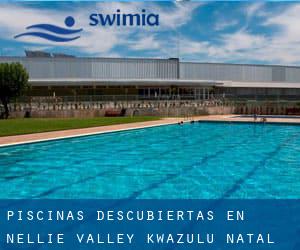 Piscinas descubiertas en Nellie Valley (KwaZulu-Natal)