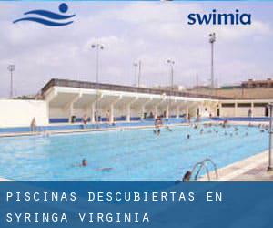 Piscinas descubiertas en Syringa (Virginia)