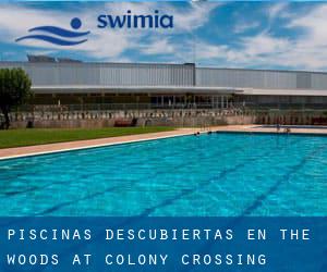 Piscinas descubiertas en The Woods at Colony Crossing