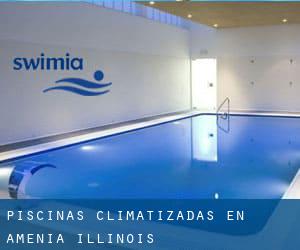 Piscinas climatizadas en Amenia (Illinois)