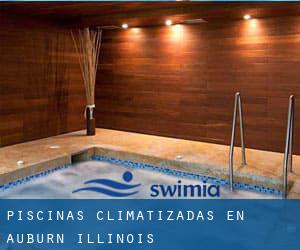 Piscinas climatizadas en Auburn (Illinois)