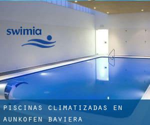 Piscinas climatizadas en Aunkofen (Baviera)