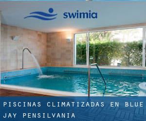 Piscinas climatizadas en Blue Jay (Pensilvania)