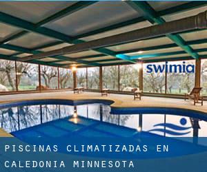 Piscinas climatizadas en Caledonia (Minnesota)