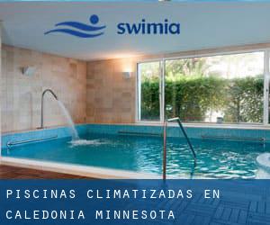 Piscinas climatizadas en Caledonia (Minnesota)