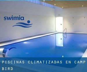 Piscinas climatizadas en Camp Bird