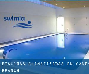 Piscinas climatizadas en Caney Branch