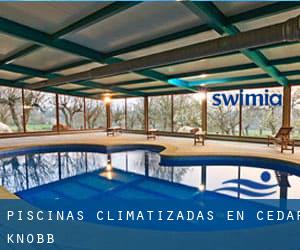 Piscinas climatizadas en Cedar Knobb