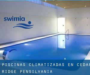 Piscinas climatizadas en Cedar Ridge (Pensilvania)