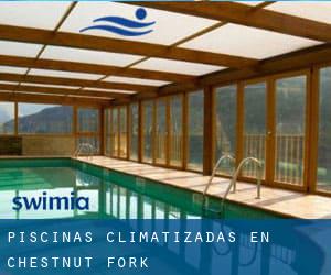 Piscinas climatizadas en Chestnut Fork