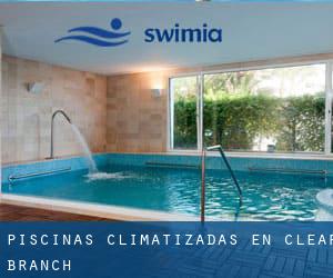 Piscinas climatizadas en Clear Branch