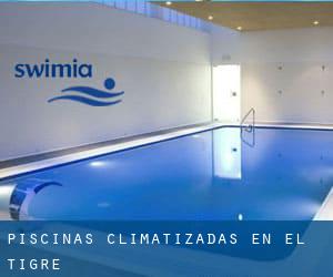 Piscinas climatizadas en El Tigre