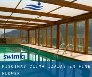 Piscinas climatizadas en Fine Flower