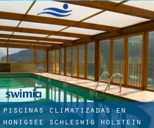 Piscinas climatizadas en Honigsee (Schleswig-Holstein)