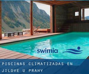 Piscinas climatizadas en Jílové u Prahy