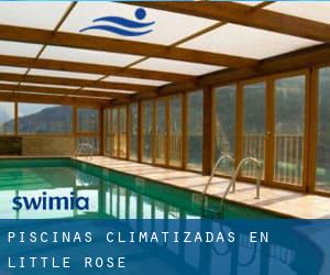 Piscinas climatizadas en Little Rose