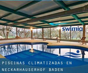 Piscinas climatizadas en Neckarhäuserhof (Baden-Württemberg)