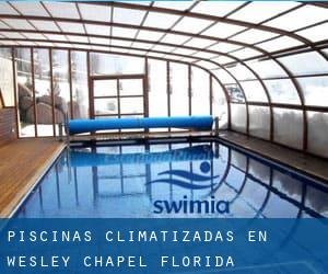 Piscinas climatizadas en Wesley Chapel (Florida)