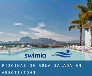 Piscinas de agua salada en Abbottstown