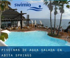 Piscinas de agua salada en Abita Springs