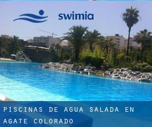 Piscinas de agua salada en Agate (Colorado)