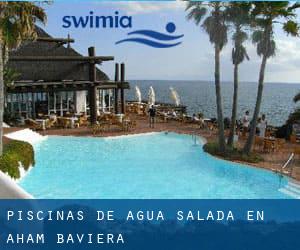 Piscinas de agua salada en Aham (Baviera)