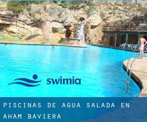 Piscinas de agua salada en Aham (Baviera)