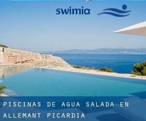 Piscinas de agua salada en Allemant (Picardía)