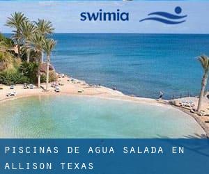 Piscinas de agua salada en Allison (Texas)