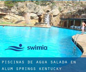 Piscinas de agua salada en Alum Springs (Kentucky)