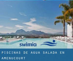 Piscinas de agua salada en Amenucourt