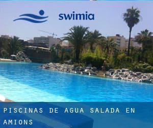 Piscinas de agua salada en Amions