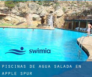 Piscinas de agua salada en Apple Spur