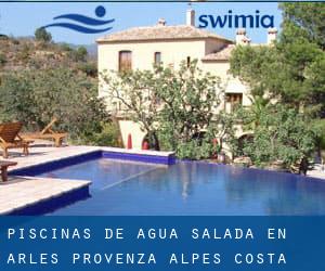 Piscinas de agua salada en Arles (Provenza-Alpes-Costa Azul)