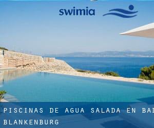 Piscinas de agua salada en Bad Blankenburg