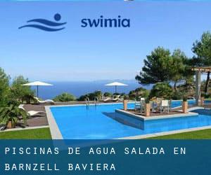 Piscinas de agua salada en Bärnzell (Baviera)