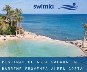 Piscinas de agua salada en Barrême (Provenza-Alpes-Costa Azul)