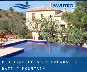 Piscinas de agua salada en Battle Mountain