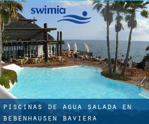 Piscinas de agua salada en Bebenhausen (Baviera)