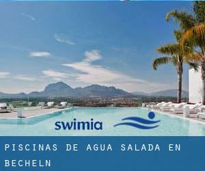 Piscinas de agua salada en Becheln