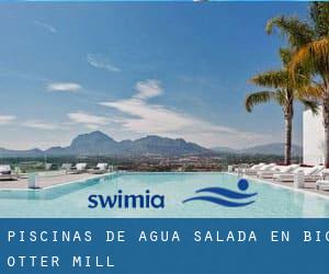 Piscinas de agua salada en Big Otter Mill