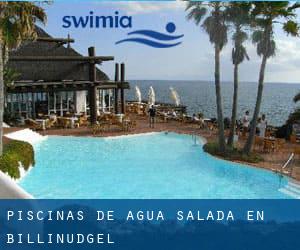 Piscinas de agua salada en Billinudgel