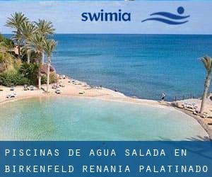 Piscinas de agua salada en Birkenfeld (Renania-Palatinado)