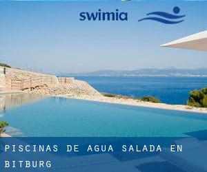 Piscinas de agua salada en Bitburg