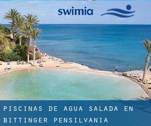 Piscinas de agua salada en Bittinger (Pensilvania)