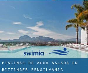 Piscinas de agua salada en Bittinger (Pensilvania)