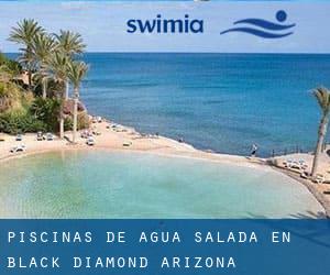 Piscinas de agua salada en Black Diamond (Arizona)