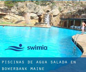 Piscinas de agua salada en Bowerbank (Maine)