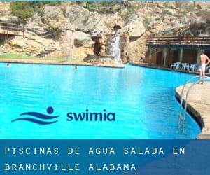 Piscinas de agua salada en Branchville (Alabama)